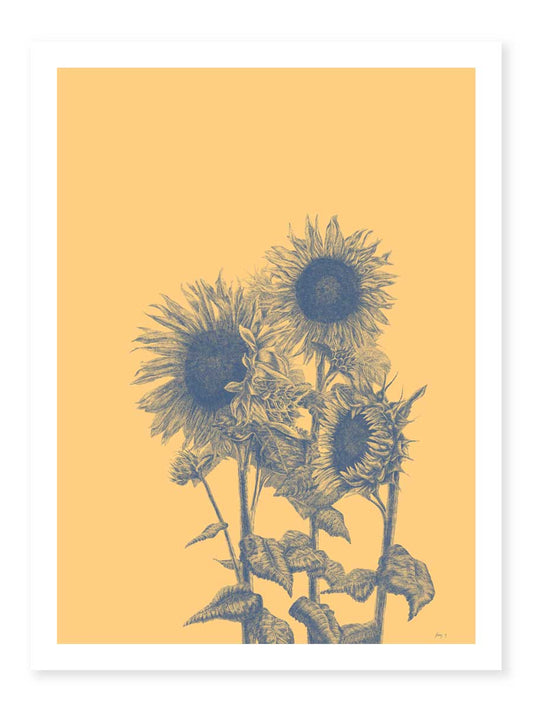 Sunflowers